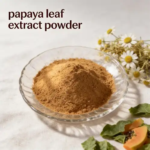 Does papaya leaf extract powder help support healthy blood function?